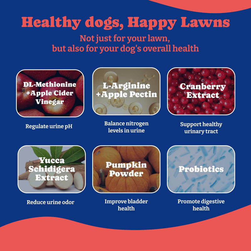 Probiotics for Dogs - Dog Probiotics for Digestive Health + Grass Burn Spot Chews for Dogs, 180 Soft Chews Eachs, Duck & Pear Flavor