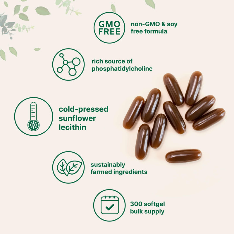 Micro Ingredients Sunflower Lecithin 1,600mg Per Serving, 300 Softgels | Sustainably Farmed Source, Cold Pressed, Rich in Phosphatidyl Choline | Lactation Supplement | Soy Free, Non-GMO - BeesActive Australia