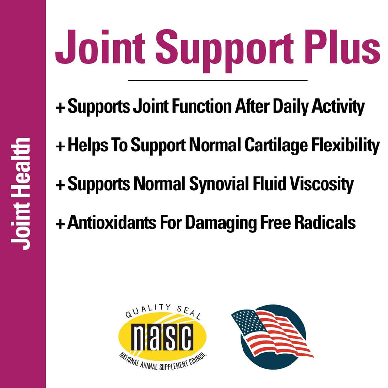 Vet Classics Joint Support Plus Dog Supplement - Hip Health Supplement for Dogs – Alleviates Aches and Discomfort - For Flexibility, Healthy Joint Function in Canines – Antioxidants – 120 Soft Chews - BeesActive Australia