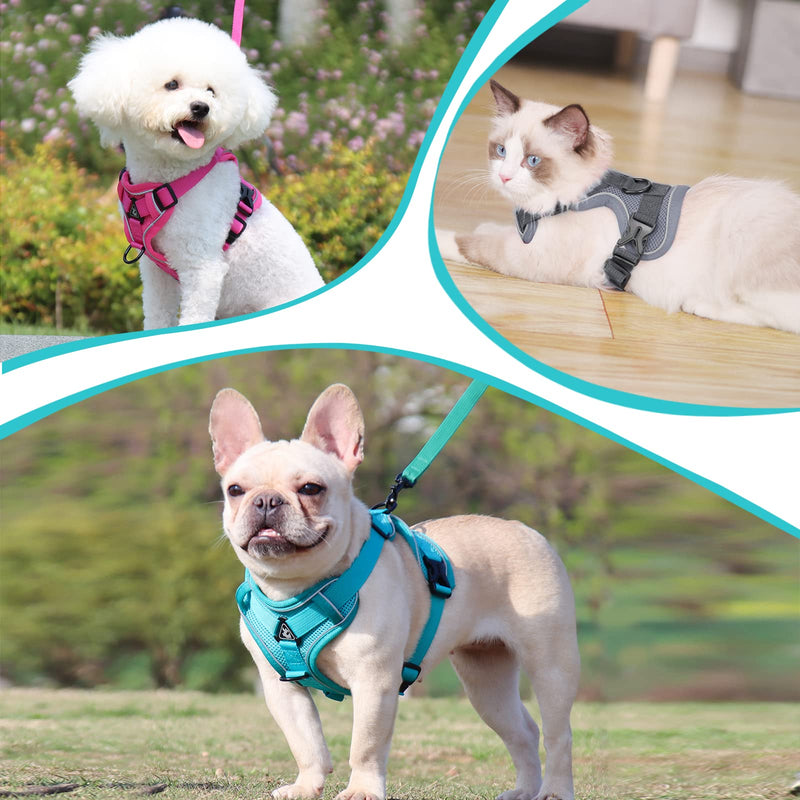 Adjustable cat harness escape-proof, cat harness with leash set, soft harness for cat, chest harness for cats, kittens, dogs, puppies (Blue Lake -M) M Blue Lake - BeesActive Australia