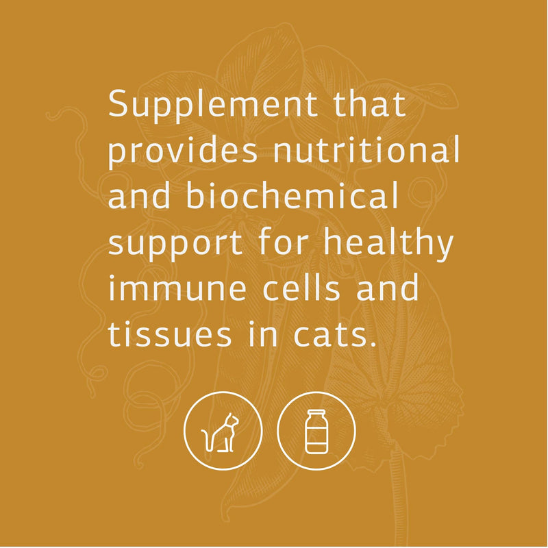 Standard Process Feline Immune System Support - Nutritional Supplement for Feline Immune Health Support - Cat Supplement Tablets to Aid Healthy Immune Cells & Tissue - 90 Tablets - BeesActive Australia