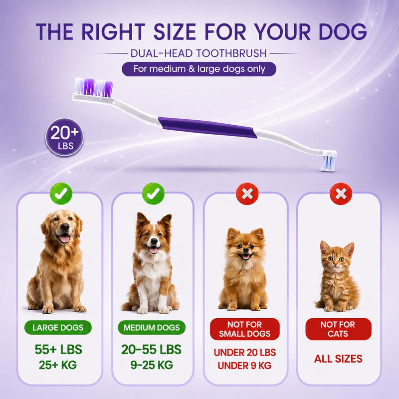 6% nHA Pet Dual-Enzymatic Toothpaste+Dog Toothbrush – Newly Upgraded Dual-Head Design