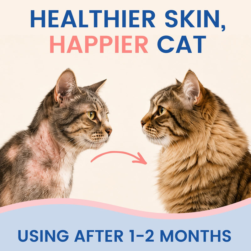 Mange Support for Cats – Supports Hair & Skin Health, Relief for Itchy Skin, Scratching, Scabs & Ears Care, Soothes Patchy Fur, Supports Scabby Cat, Safe for Feral & Stray Cats – 300 Pills