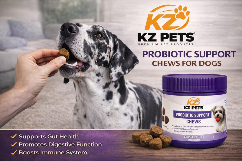 Probiotic Support Chews for Dogs – 6 Billion CFU 5-Strain Dog Probiotic with Prebiotics & Digestive Enzymes – Gut Health, Digestive Support & Immune Support Supplement – 100 Soft Chews
