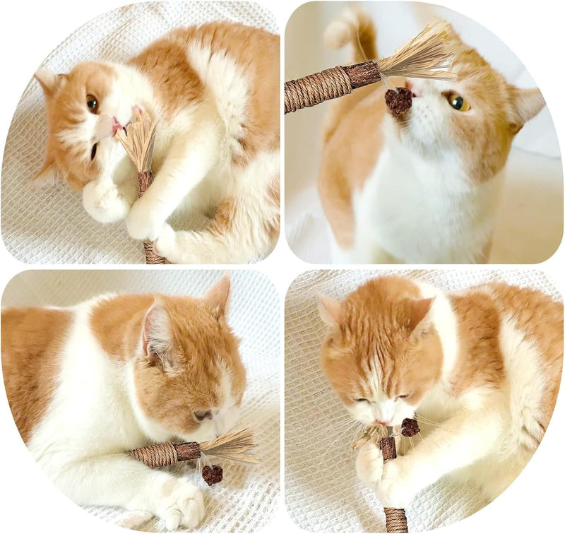 Catnip sticks, pack of 6 catnip sticks, chewing sticks for cats, cat dental care toys, dental chewing sticks help with tartar and bad breath, healthy hygiene dental care, brown - BeesActive Australia