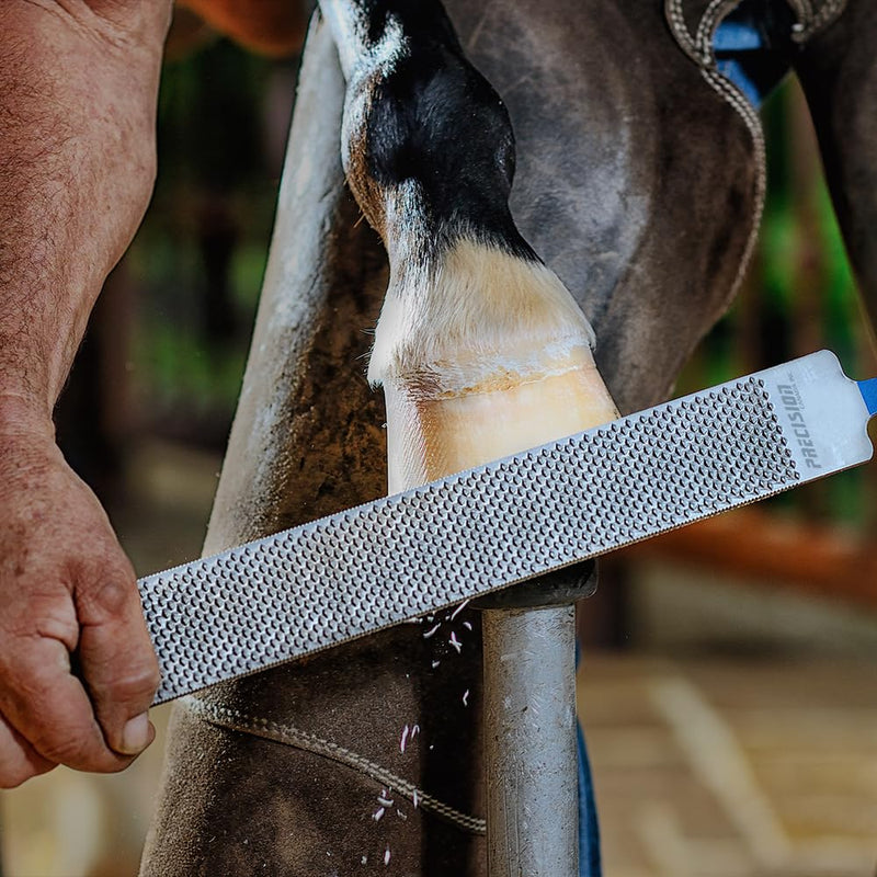 Hoof Rasp 14 inch, Carbon Steel Farrier File Tool for Easy Cleaning, Horseshoe File with Easy Grip for Cow, Horse, Goat and Pig - BeesActive Australia