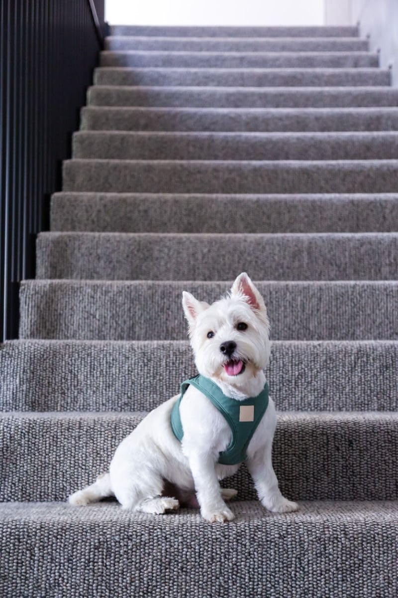 FuzzYard Life Step in Dog Harness | Size S | Stylish Premium Cotton Design in Myrtle Green Perfect for Everyday Walks Small - BeesActive Australia