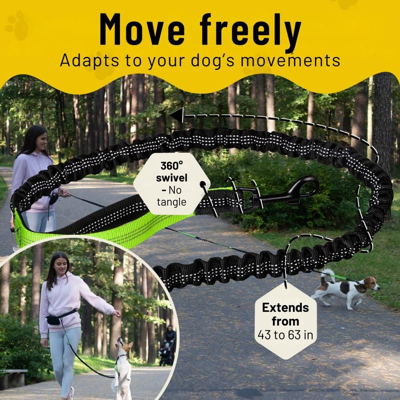 Hundefreund Hands-Free Dog Leash Replacement Bungee (43–63”) – Extension for Small Dogs – Shock-Absorbing with Dual Handles & Reflective Stitching (Green) - BeesActive Australia