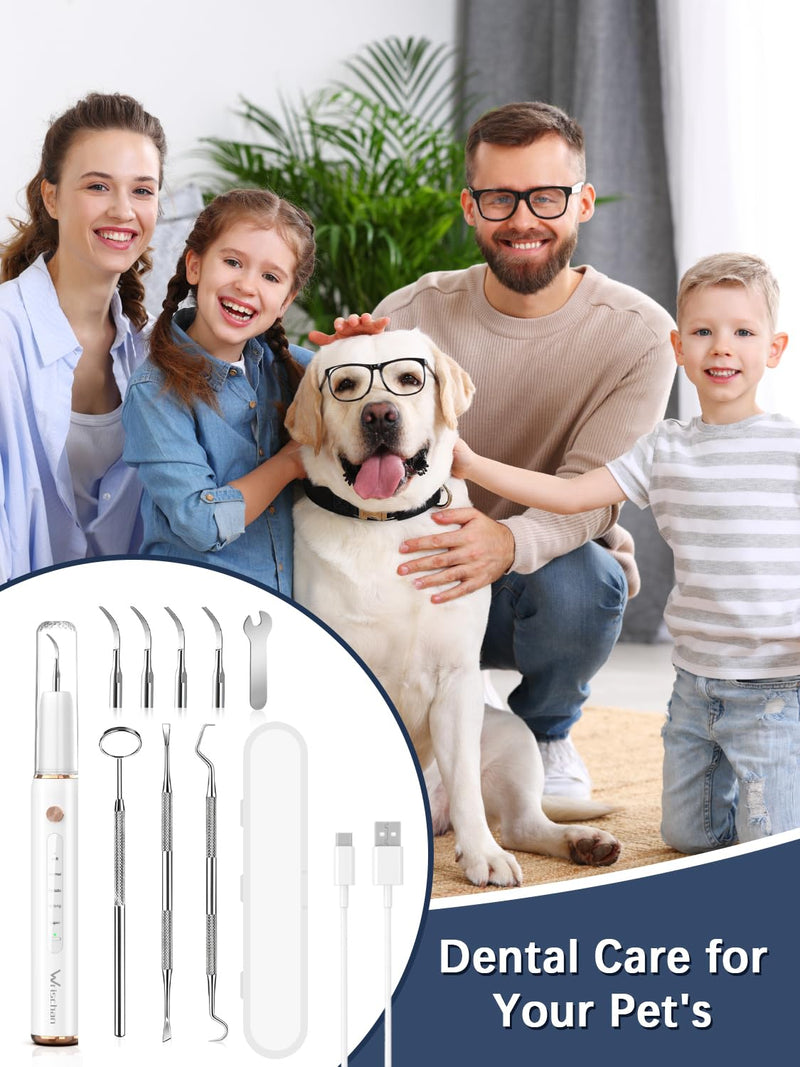 Dog Tartar Remover for Teeth, Electric Plaque Remover for Teeth with LED Light, Dog Teeth Cleaning Kit with 5 Modes and 4 Cleaning Head, Safe for Dog and Cat White - BeesActive Australia