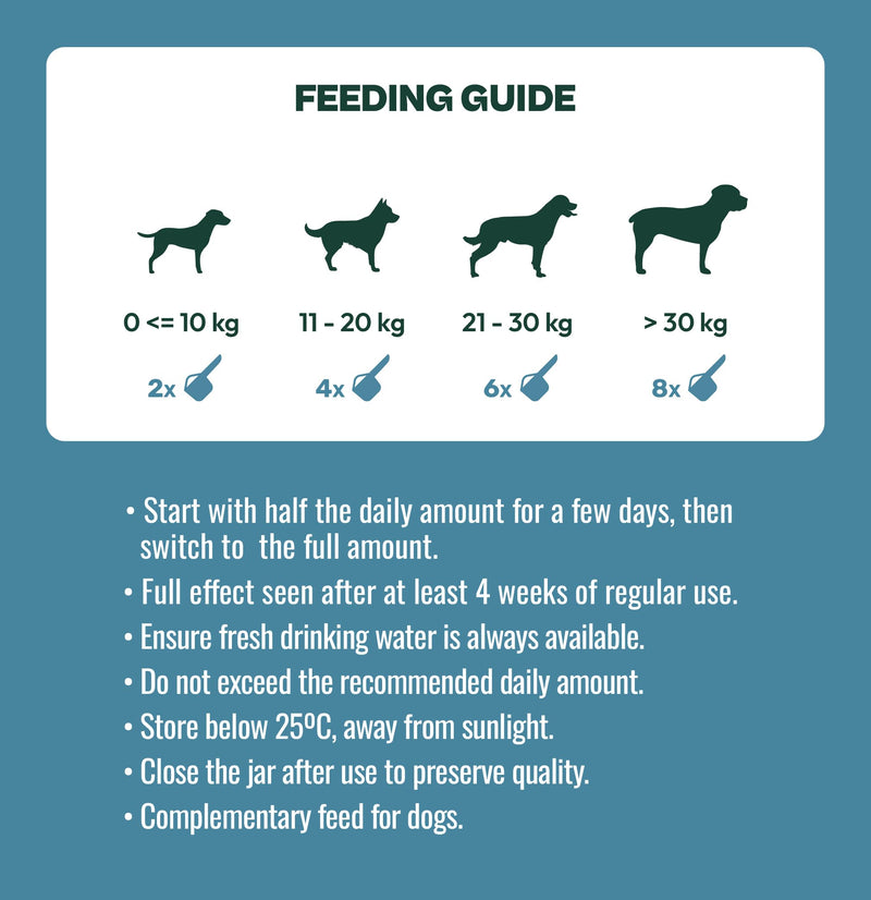 Gooddy - Dental Care for Dogs Powder 180g - Fresh Breath, Reduces Plaque and Tartar, Supports Gums - With Probiotics and Prebiotics