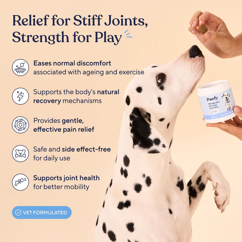 Pawfy Pain Management for Mobility & Joint Comfort Chews for Dogs | Salmon Oil, Omega 3, Cat's Claw | Hip & Joint Support for Senior & Large Breed Dogs | All Ages & Sizes | 60 Soft Chews