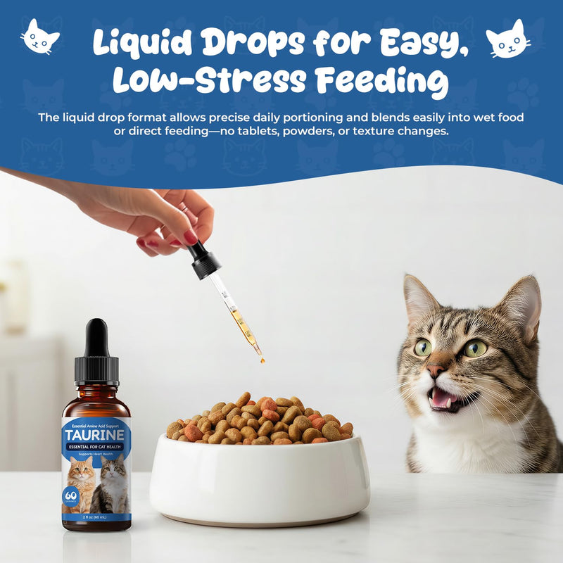 Taurine Liquid Supplement for Cats, Daily Amino Acid Support for Heart Health, Vision & Metabolic Balance, Liquid Drops for Long-Term Feline Nutrition, 60 mL 60 ml (Pack of 1)
