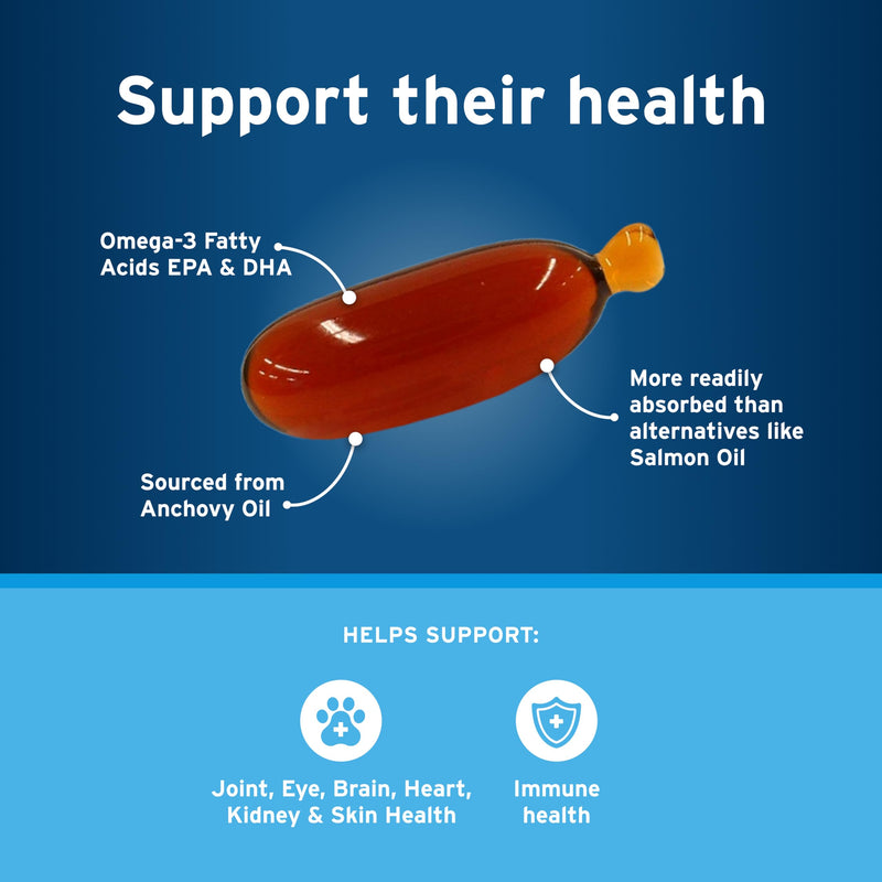 Pet Protect M/L Dog Omega-3 Supplement, Proprietary Free Form Blend, Supports a Normal Inflammatory Response, Snip-Tip Capsules (60 Count) 60 Capsules