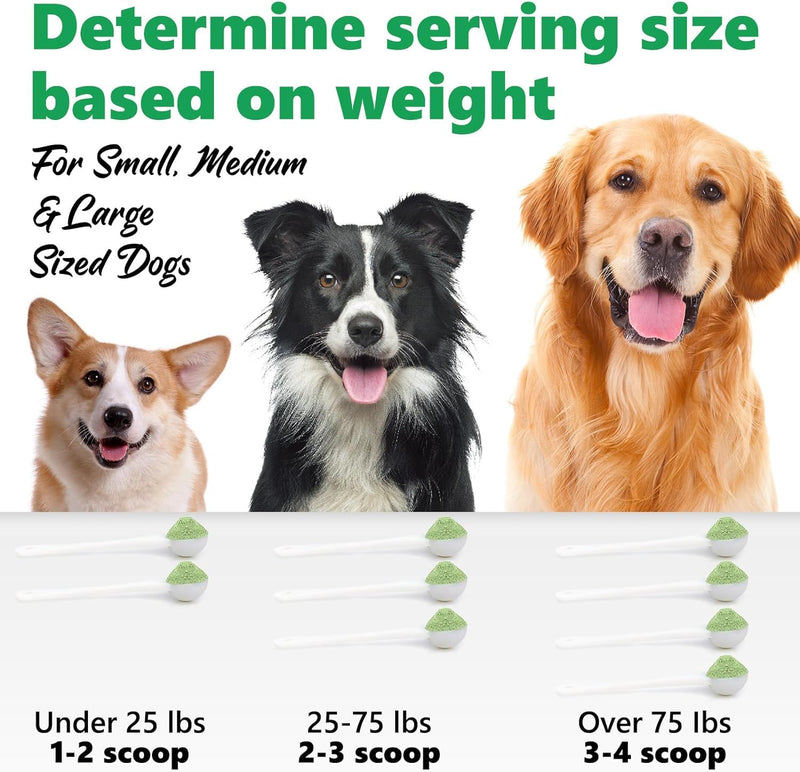 Dental Powder 300g, Teeth Cleaning Powder, Dog Teeth Cleaning Products, Plaque Off for Dogs & Cats Breath Freshener for Bad Breath, Tartar Remover,Dental Care Supplies for Small, Medium, Pet Denta