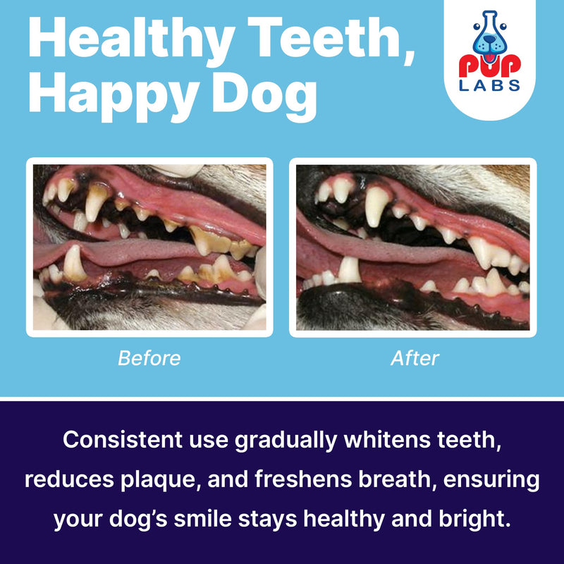 All-Natural and Expert-Formulated Dental Powder for Dogs, Dog Dental Supplement for Healthy Teeth and Against Leaky Gums for Dogs 12+ Weeks, Made in The USA with The Standards, 28 Serv - PawsPlanet Australia