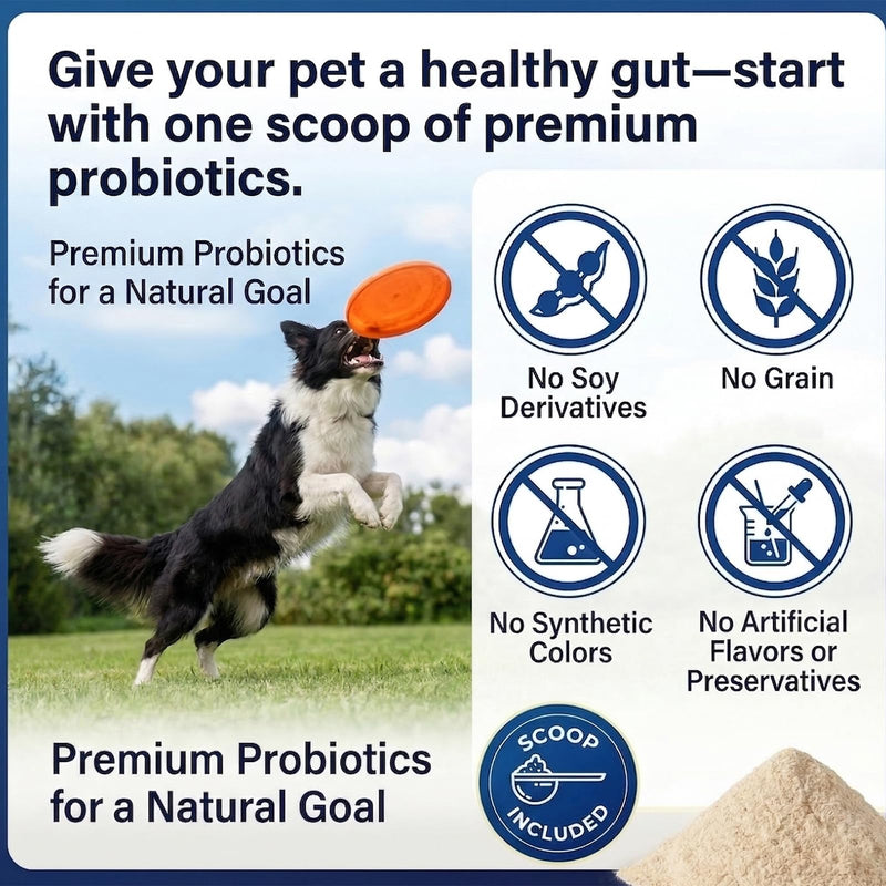 Natural Probiotic Powder for Dogs - Vet Formulated Digestive & Gut Health Supplement with 15 Probiotic Strains & 6 Billion CFU, Supports Immunity, Energy Levels, Skin and Coat Health, 30 Scoops 150g Probiotic for dogs