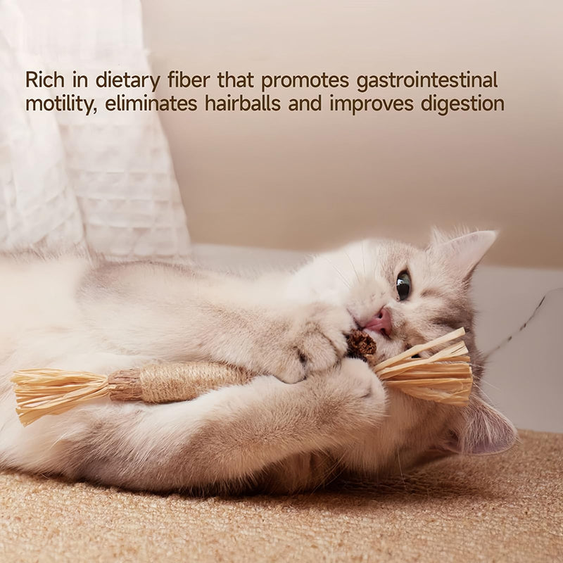 Silvervine Chew Sticks for Cats,QIANSSE4 Pack Cat Chew Toys Natural Dental Cleaning Chew Sticks for Indoor Cats Kitten Teething