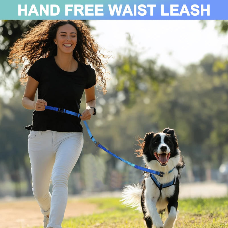 Heavy Duty Hands Free Dog Leash with Quick Release Carabiner and Adjustable No Pull Bungee Dog Running Waist Leash，for Walking and Training with Car Seat Belt 4-6FT (Aquamarine) Aquamarine - BeesActive Australia