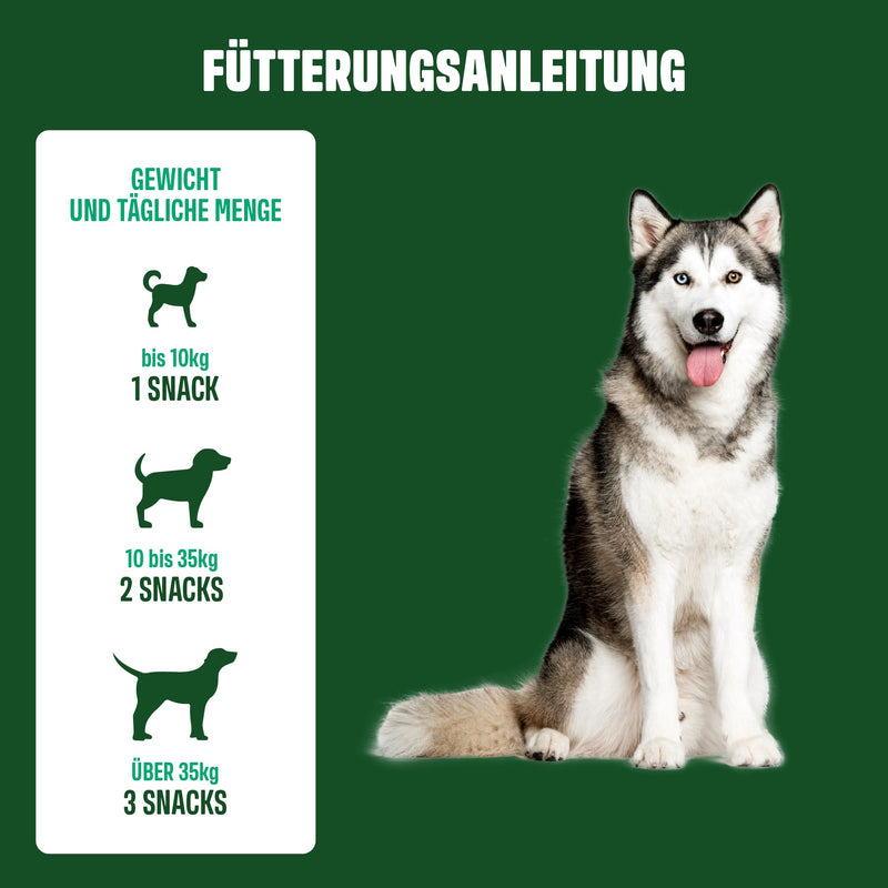 ivvi Dental - dental hygiene snacks for dogs. For healthy teeth and gums, helps with plaque and bad breath - 60 snacks (270g) with chicken. - BeesActive Australia
