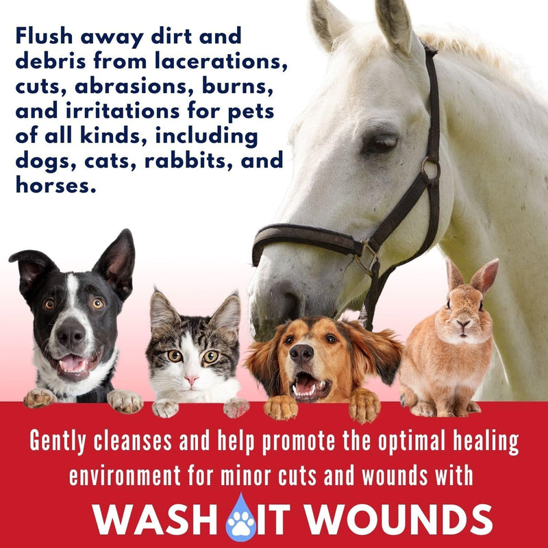 Wash-It Wound Cleanser for Pets | Dog Wound Care with Hypochlorous Acid to Clean Wounds, Cuts, Burns & Irritation | US-Made Wound Cleanser for Dogs & All Animals (4oz) - BeesActive Australia