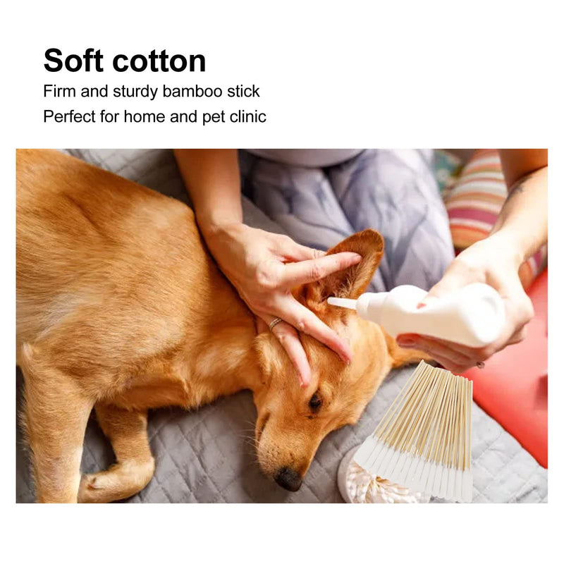100Pcs Cotton Buds for Dogs and Cats, 6 Inch Long Qtips, Professional Dirt Removal Bamboo Stick Pet Lengthen Cotton Swabs for Cleaning Dog and Cat Ears, Apply Medicine, Clean Wound - PawsPlanet Australia