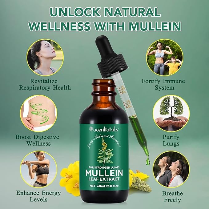 Mullein Drops for Lungs, 16-in-1 Mullein Leaf Extract for Lung Cleanse, Respiratory, Immunity, with Quercetin, Marshmallow, Black Cumin Seed, Elderberry, Mullein Liquid, Non-GMO, 2 Fl Oz 2 Fl Oz (Pack of 1) - BeesActive Australia