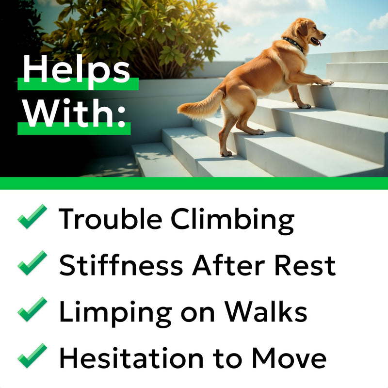 BARK&SPARK Daily Joint Care Chews - Advanced Mobility Joint Supplement - Choose Chews! - Glucosamine Hip & Joint Support for Senior Dogs - Made in UK - 180 Count 180 Joint Care Chews