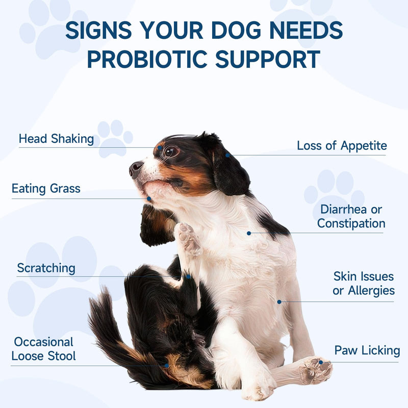 Woyamay Dog No Chew Spray & Probiotic Chews Bundle – Digestive Health + Behavioral Support for Dogs – Prevent Chewing, Licking & Biting While Supporting Gut Health, Immunity & Daily Comfort