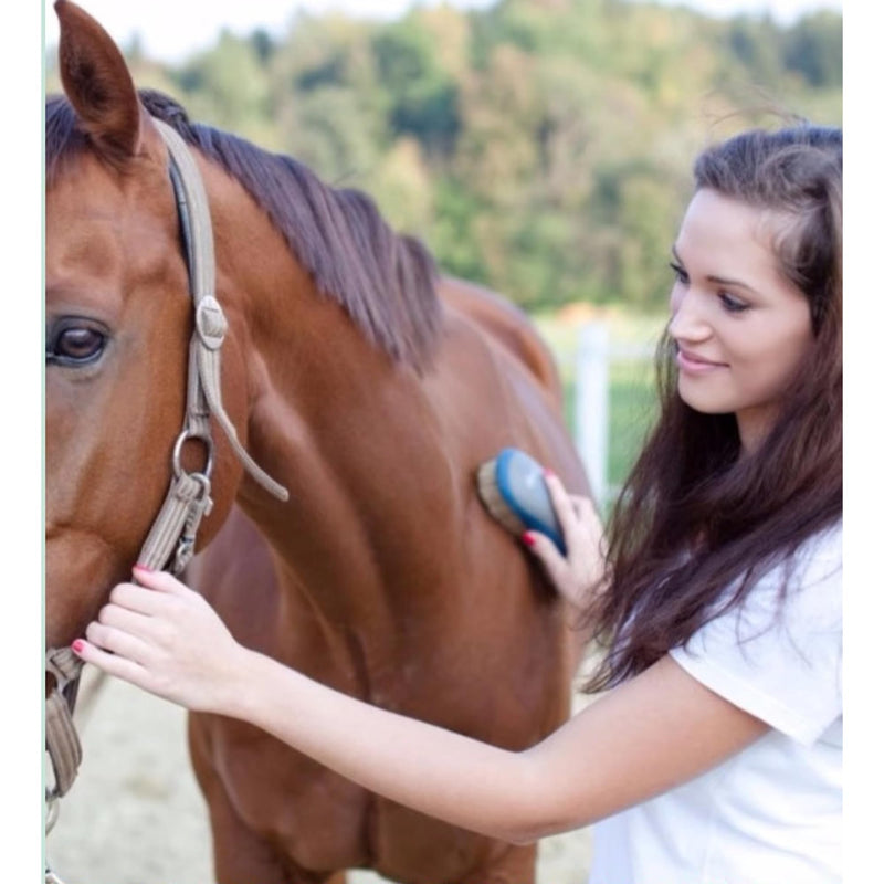 2 Packs Horse Curry Comb, Stainless Steel Grooming Comb with Soft Touch Grip, 4 Rings Spring Grooming Brushes for Horses, Cows, Dogs, Sheep (Red) Red - BeesActive Australia