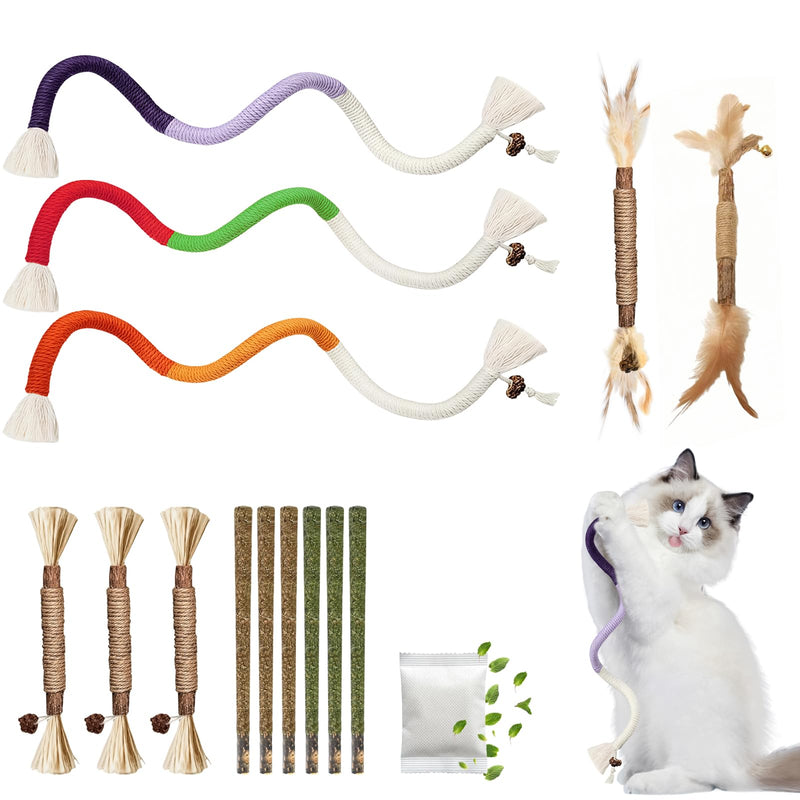 Silvervine Sticks for Cats & Cat Chew Ropes Cat Chew Toys for Indoor Cats Kitten Teething Toys for Dental Cleaning Teeth with Natural Catnip Bag, Increase Appetite, Enhances Oral & Dental Health,14PCS