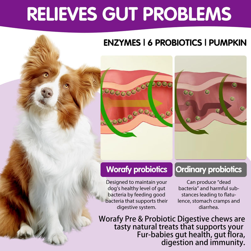 Probiotics Chews for Dogs Promotes Digestion and Kin & Coat Pure Natural Dog Pet Fiber Supplement - 120 Chewable Treats
