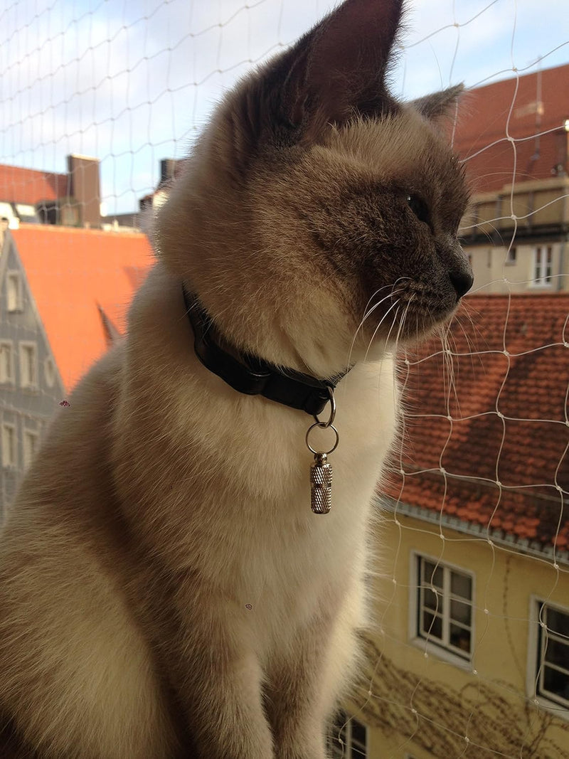 Grenhaven Address Tag Address Tube ID Tag Animal Tag Collar Waterproof Pendant for Dogs and Cats Address Capsule Cat Collar Dog Collar Ultra Light, XXS, Silver - BeesActive Australia