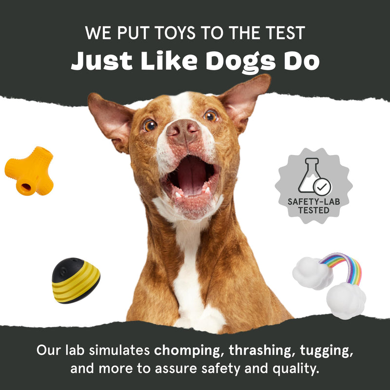 Barkbox Super Chewer Tough Dog Chew Toys for Aggressive Chewers, Dental Stimulating (Turkey - Large) Turkey Day Drumstick - Large - BeesActive Australia