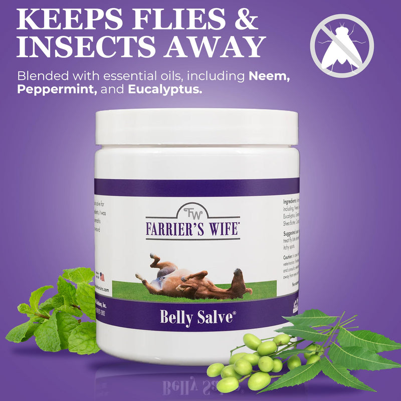 Farrier's Wife Belly Salve - Natural Soothing Salve for Horses | Helps Fly Bite Dermatitis and Promotes Hair Growth | Belly Balm for Horses | Sweet Itch Ointment for Horses - 20oz - PawsPlanet Australia