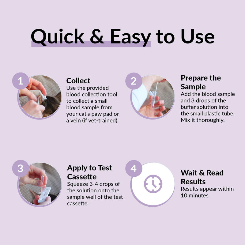 getTested Virus Combo FIV and FeLV Test for Cats, At-Home, Rapid Antigen Test Kit for Kittens and Cats, Easy Blood Screening, Fast, Accurate Results in 10 Minutes