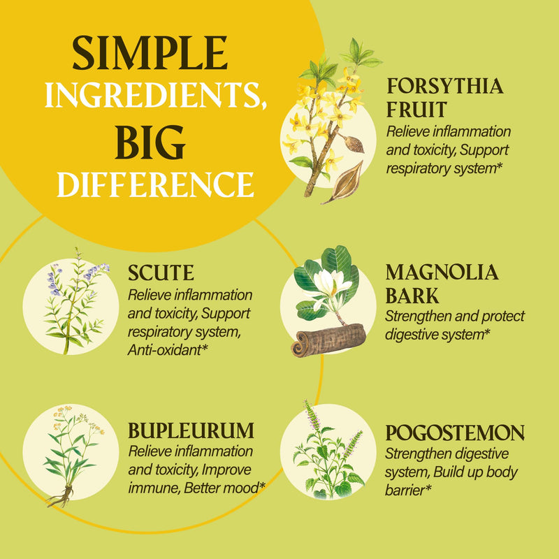 Immune Extra Prevention, Natural Immune Support, Clinically Tested Formula, Natural Defense, Body Wellness, Non-Drowsy, No Chemical Ingredient. Awarded the Greatest Inventions. 60 Capsules