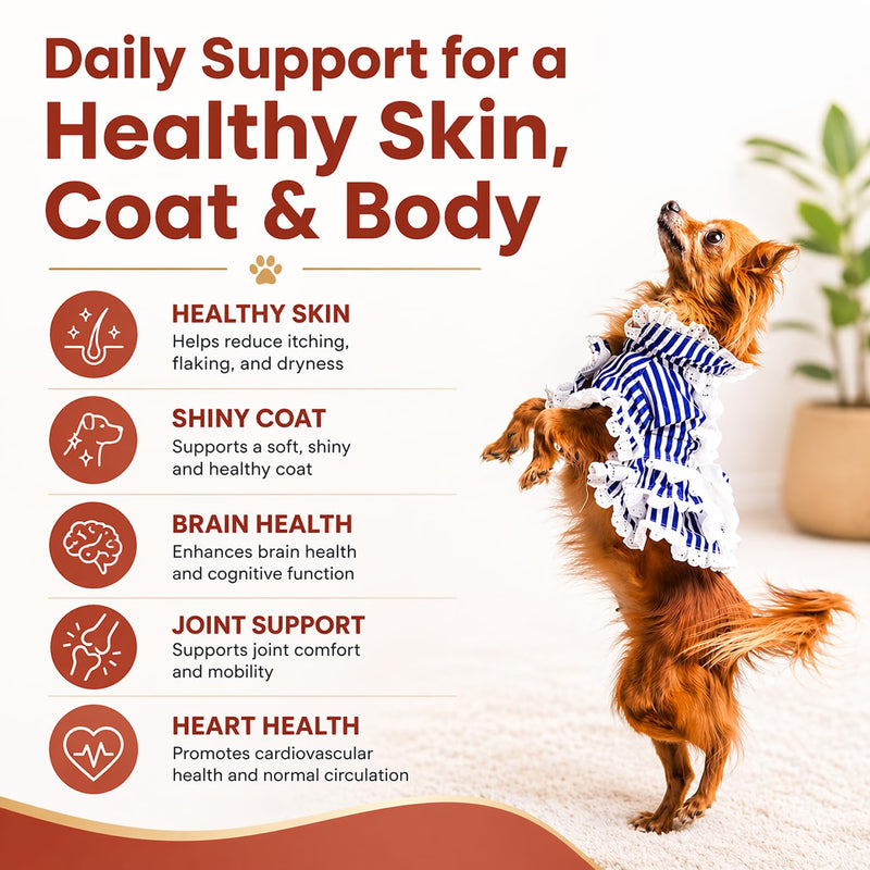 PetScy Omega-3 Fish Oil for Dogs – Supports Healthy Skin, Shiny Coat & Joint Mobility | Pure Wild-Caught Fish Oil with EPA & DHA | Natural Dog Supplement for All Breeds & Sizes – 8 fl oz