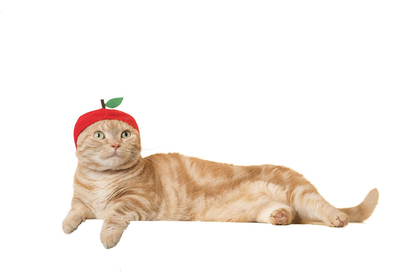 Kitan Club Cat Cap - Pet Hat Blind Box Includes 1 of 6 Cute Styles - Soft, Comfortable - Authentic Japanese Kawaii Design - Animal-Safe Materials, Premium Quality (Fruit) - BeesActive Australia