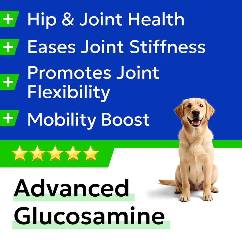 BARK&SPARK Daily Joint Care Chews - Advanced Mobility Joint Supplement - Choose Chews! - Glucosamine Hip & Joint Support for Senior Dogs - Made in UK - 180 Count 180 Joint Care Chews