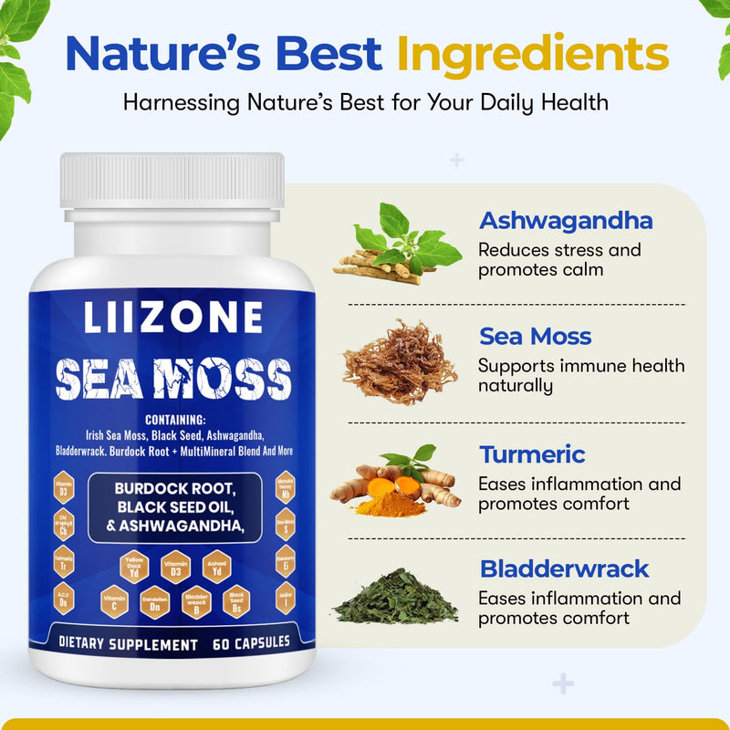 Complex Sea Moss Capsules with Ashwagandha, Turmeric & Vitamin C - Black Seed Oil Capsules for Immune Support, Joint & Gut Health - 60 Count for Daily Wellness