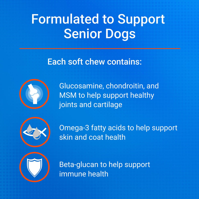 Nutramax Cosequin for Senior Dogs Joint Health Supplement, Contains Glucosamine, Chondroitin, MSM, Omega-3s and Beta-Glucan, Supports Joint, Skin and Coat, Immune Health, Soft Chews, 120 Count 120 ct