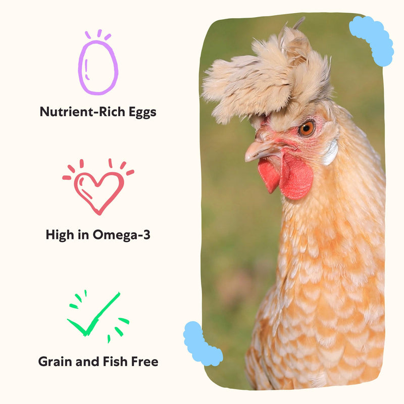 Grubbly Farms Omega Mix - Omega Enriching Feed Supplement for Chickens (1LB) Omega Mix - 1 LB - BeesActive Australia