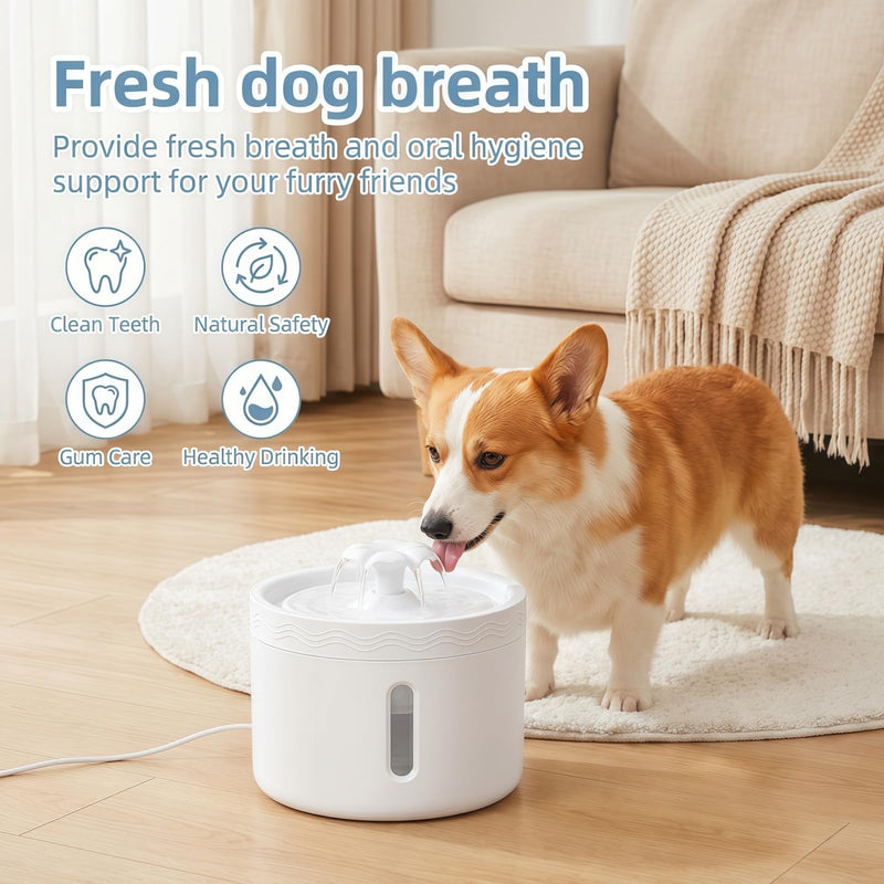 2PCS Pet Mouthwash,Natural Teeth Cleaning Mouthwash to Fight Tartar,Dog Mouthwash Add to Water,Fresh Breath for Dogs & CatsPromote Healthy Gums,Easy Daily Use for all Pet,Odorless Flavorless Formula 2