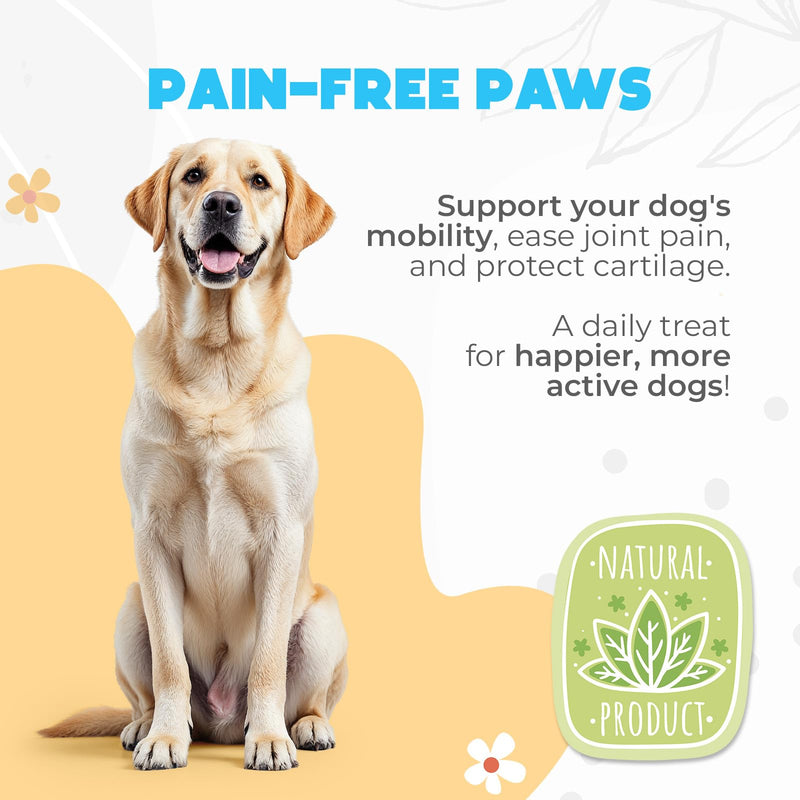 Glucosamine HCL & Hip and Joint Chews for Dogs - 150 pcs - Advanced Hip and Joint Support for Senior Dogs - with MSM & Green Lipped Mussel - Chicken