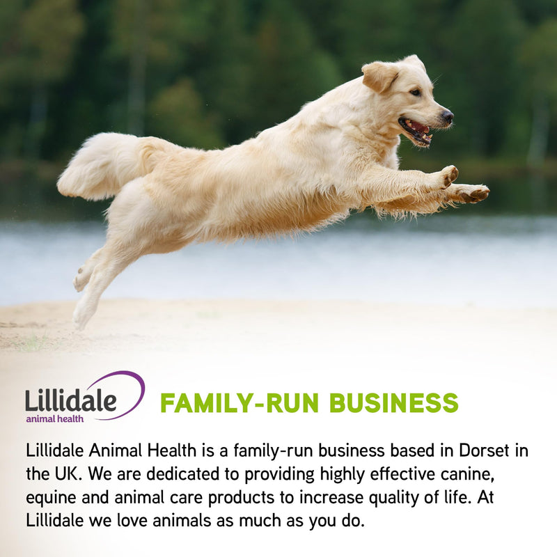 Lillidale ProJoint 500g - Joint Supplement for Dogs with Glucosamine and Chondroitin - Premium Anti-Inflammatory Support - Mobility - Hip & Joints - Soothes Stiffness - Dog Joint Supplement 1 x 500g