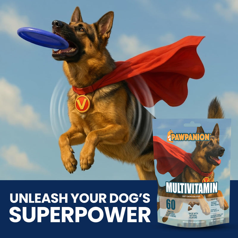 Multivitamin Soft Chews for Dogs, Daily Vitamins & Immune Support, Joint Skin Gut Health Formula, Probiotics + Omega + Vitamins, 60 Soft Chews Bacon Flavor Multi-vitamin