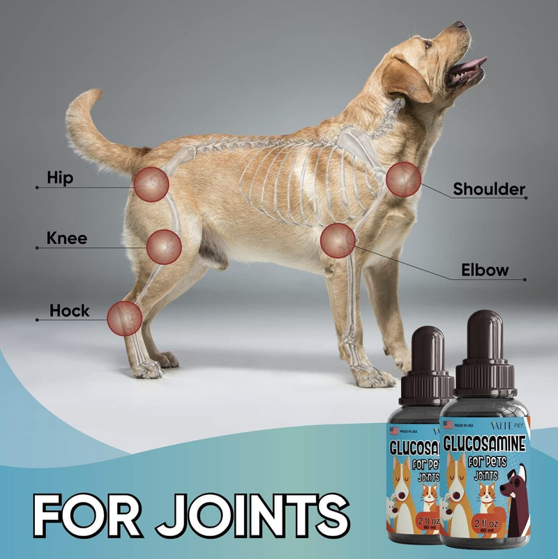 Hip & Joint Glucosamine Drops for Pets - Advanced Formula with Glucosamine, Chondroitin & MSM - Enhances Mobility Support - Natural Pain Relief for Dogs and Cats - Anxiety Supplement for Senior Pets - BeesActive Australia