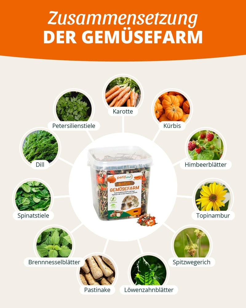 petifool Vegetable Farm 500g - supplementary food for rodents - natural rodent food for rabbits, guinea pigs, hamsters, chinchillas & more - without artificial additives - 100% natural - species-appropriate food 500g (pack of 1) - BeesActive Australia