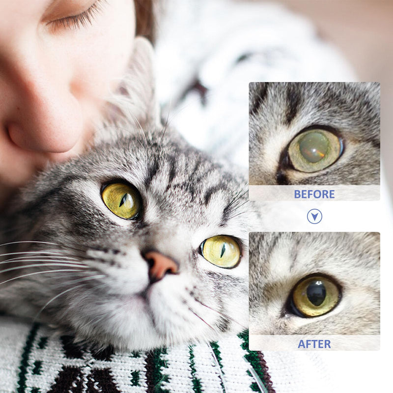 Pet Eye Drops,Pet Eye Drops For Cats And Dogs To Remove,Lubricating Eye Drops for Pet,Tear Stain Remover For Dogs & Cats,Eye Itching Relief Potion for Pets,Care And Cleaning Around The Eyes,10 ml