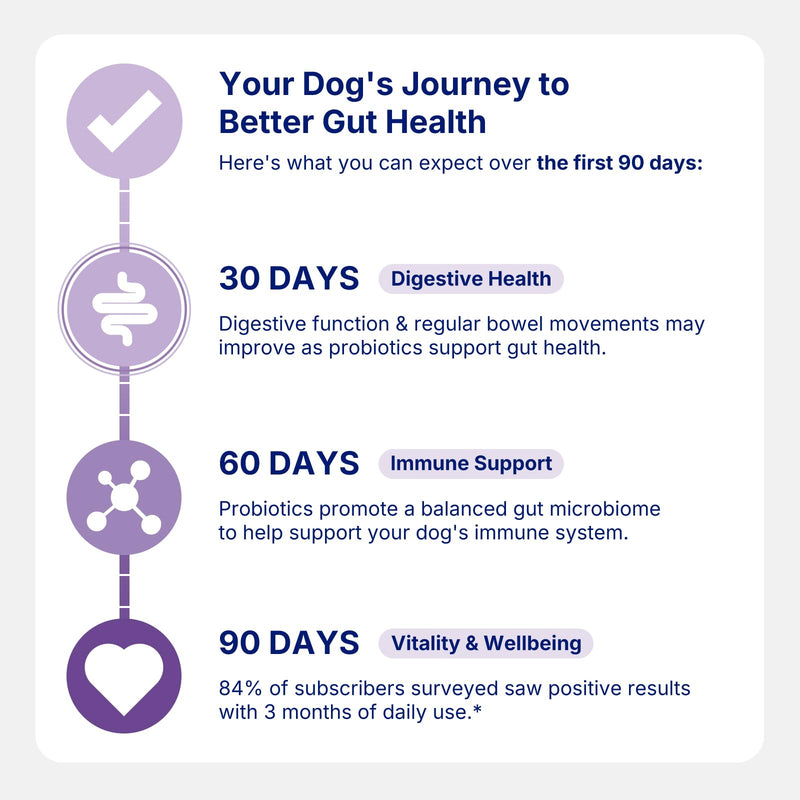 Probiotics for Dogs,Dog Gut Health Probiotics,Gastrointestinal Health Promotes Digestion and Nutrient Absorption, 60 Soft Chews